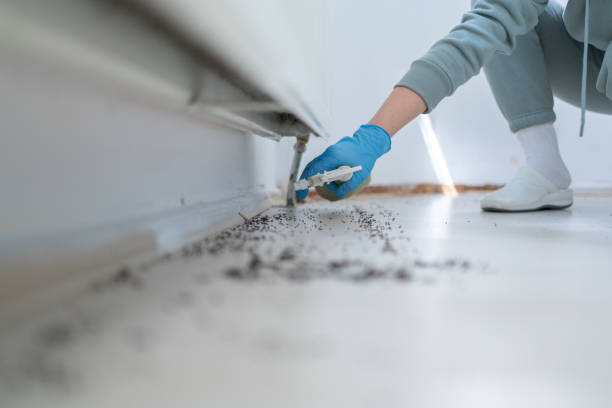 Best Exterminator Services  in Humansville, MO